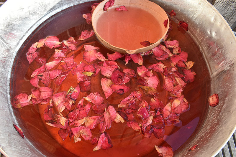 Ritueel water met bloemen en kalebas