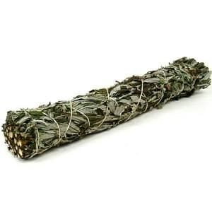 Black Sage (1 stuks 10 cm)