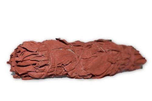 Dragon Blood Sage (1 stuks 10 cm)
