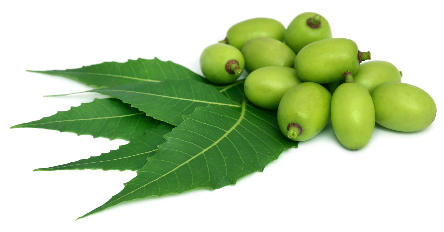 Neem noot