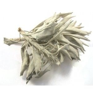 White Sage leaves ( 20 gram )