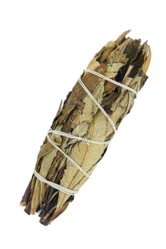Yerba Santa Sage (1 stuks 10 cm)