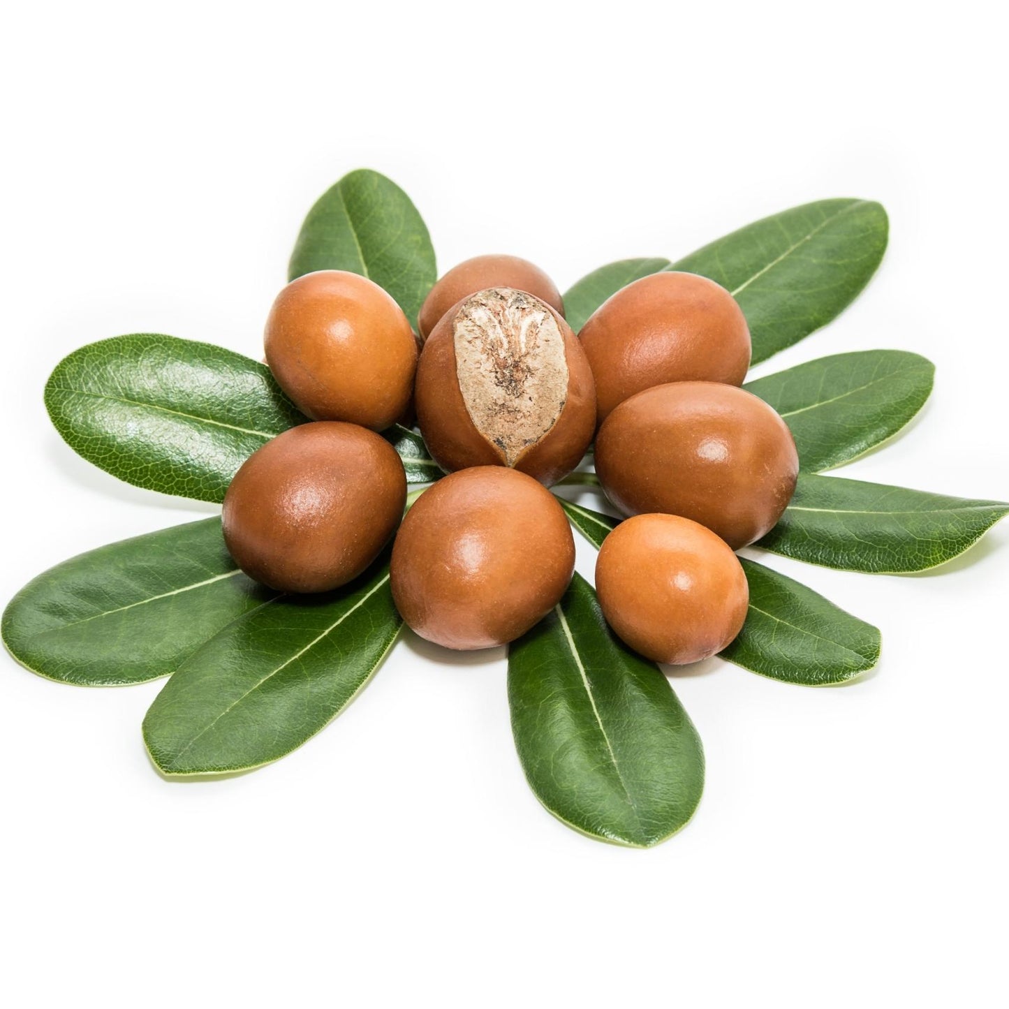Shea butter (ontgeurd)