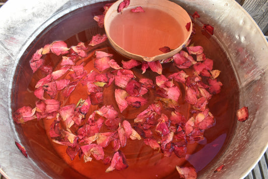 Holistic Rituals Retreat | Suriname