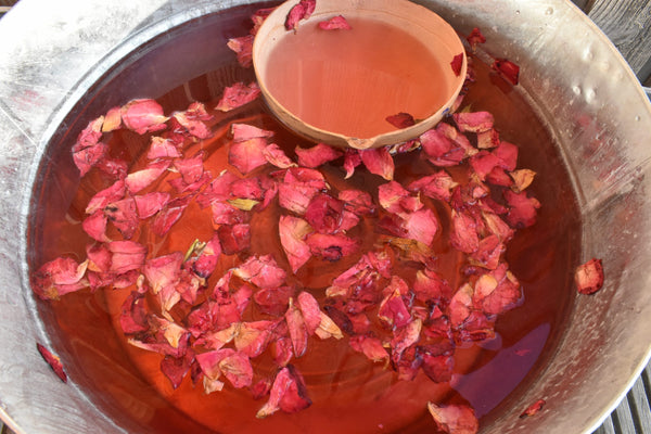 Holistic Rituals Retreat | Suriname